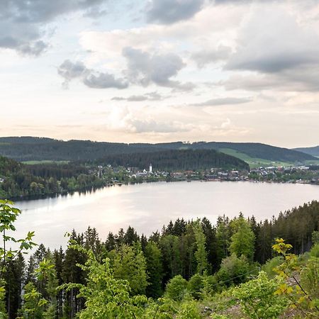 Ferienwohnung Sonnenglueck Mit Grosszuegigem Suedbalkon Lenzkirch Exteriér fotografie