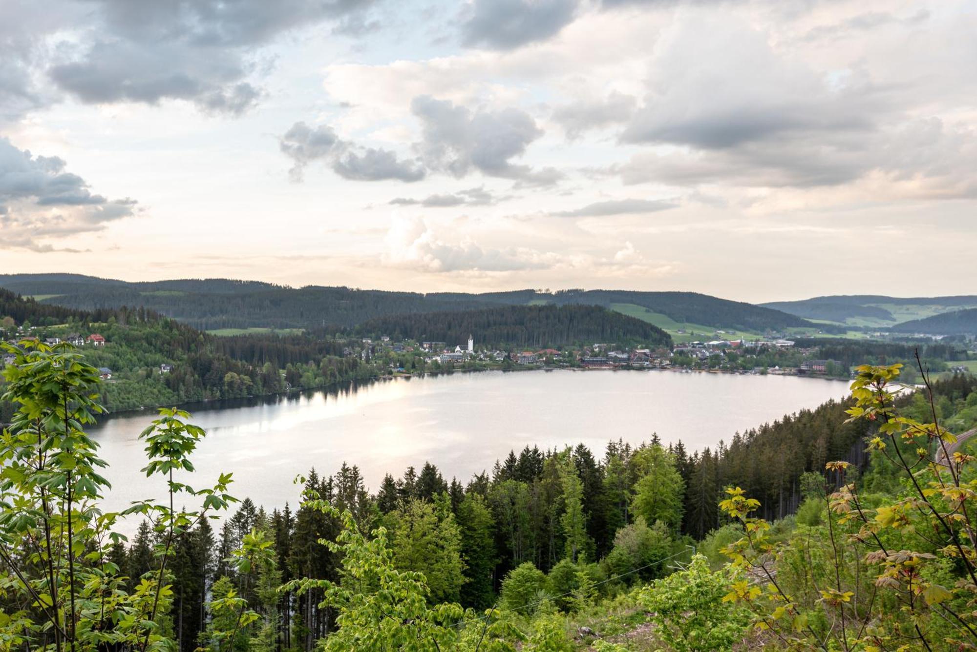 Ferienwohnung Sonnenglueck Mit Grosszuegigem Suedbalkon Lenzkirch Exteriér fotografie