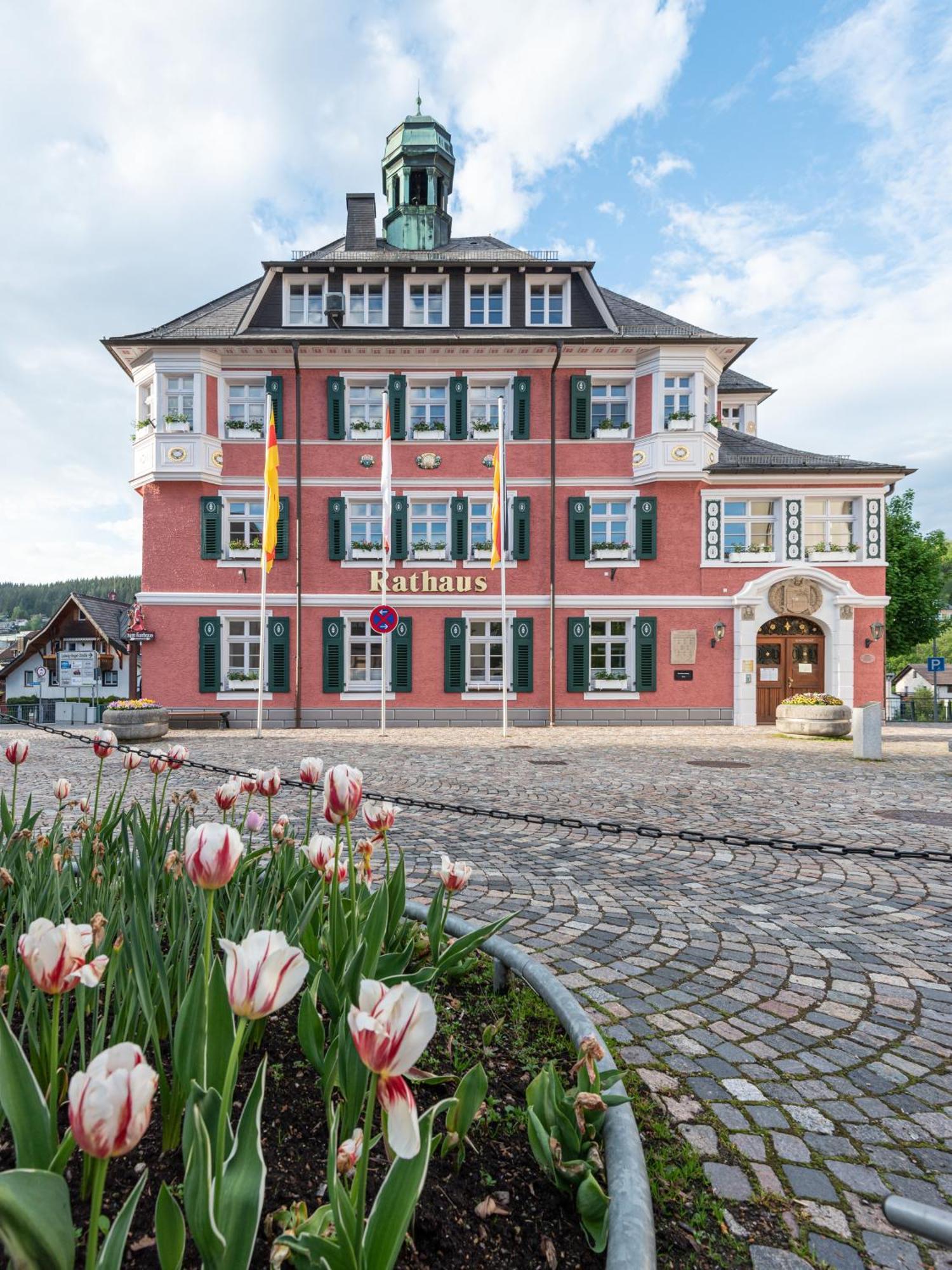 Ferienwohnung Sonnenglueck Mit Grosszuegigem Suedbalkon Lenzkirch Exteriér fotografie